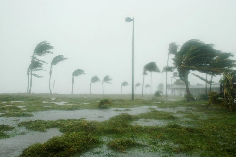 Hurricane Dennis Key West