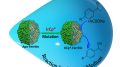 Hybrid Bio-Nanocage Formed by Ferritin Protein