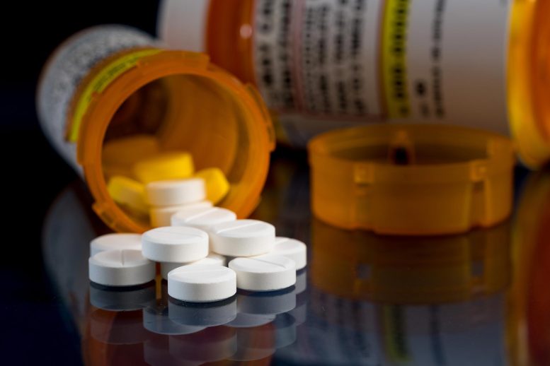 Hydrocodone Prescription Opioid