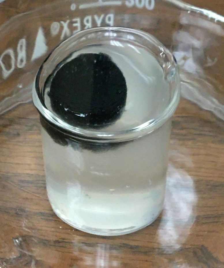 Hydrogel Tablet Purifying Water