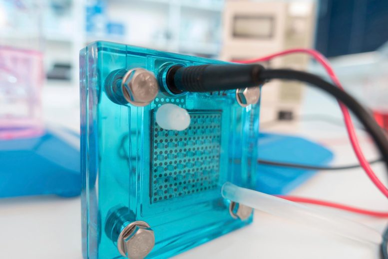Hydrogen Fuel Cell in Lab