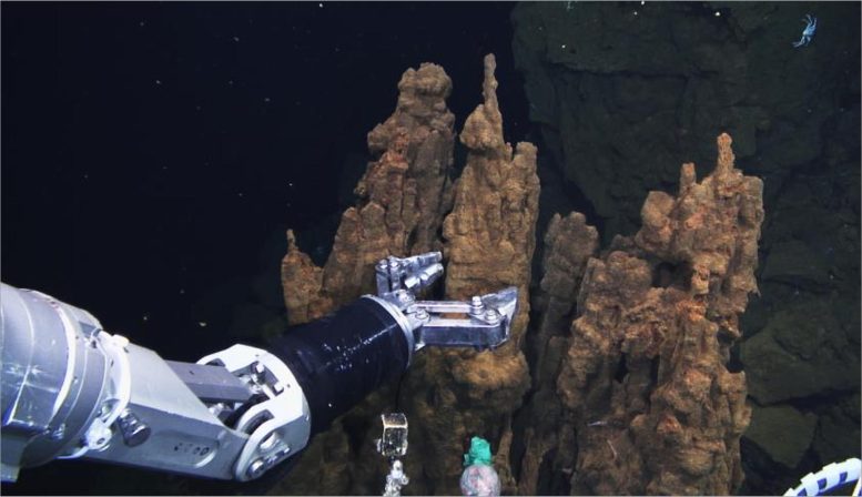 Extraction « Cheminée » d'évent hydrothermal