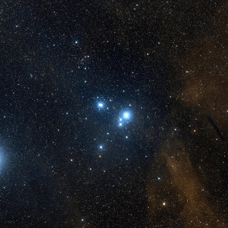IC 2391 Star Cluster
