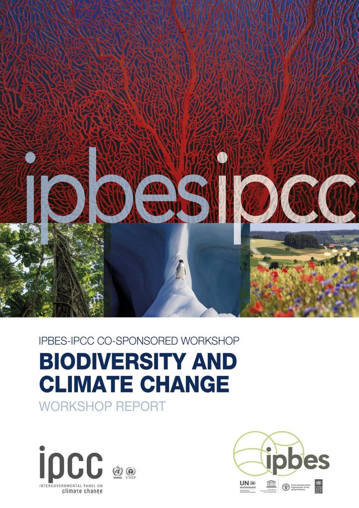 IPBES/IPCC Biodiversity and Climate Change