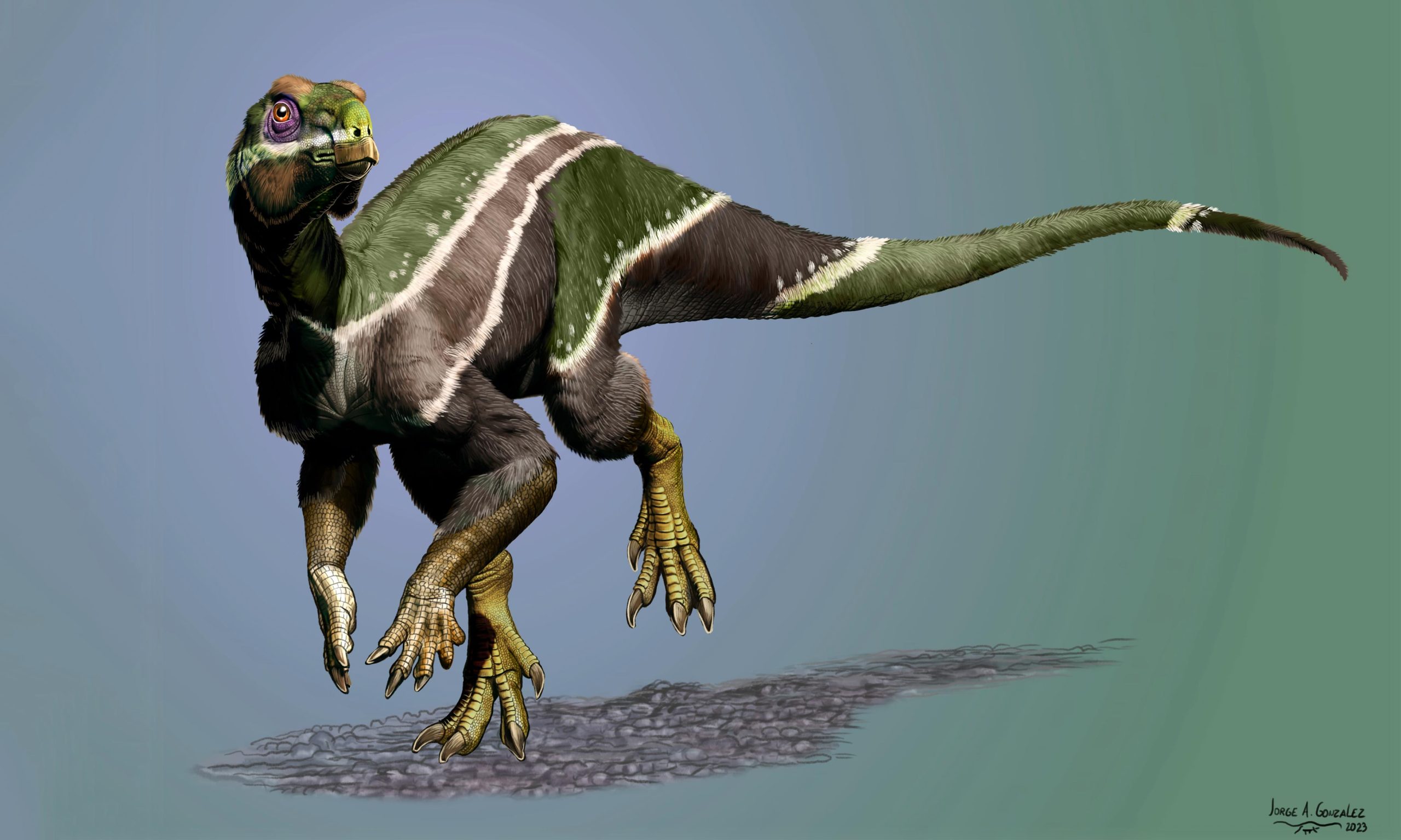 Nově objevený dinosaurus Iani může být „posledním výdechem“ tohoto druhu na měnící se planetě