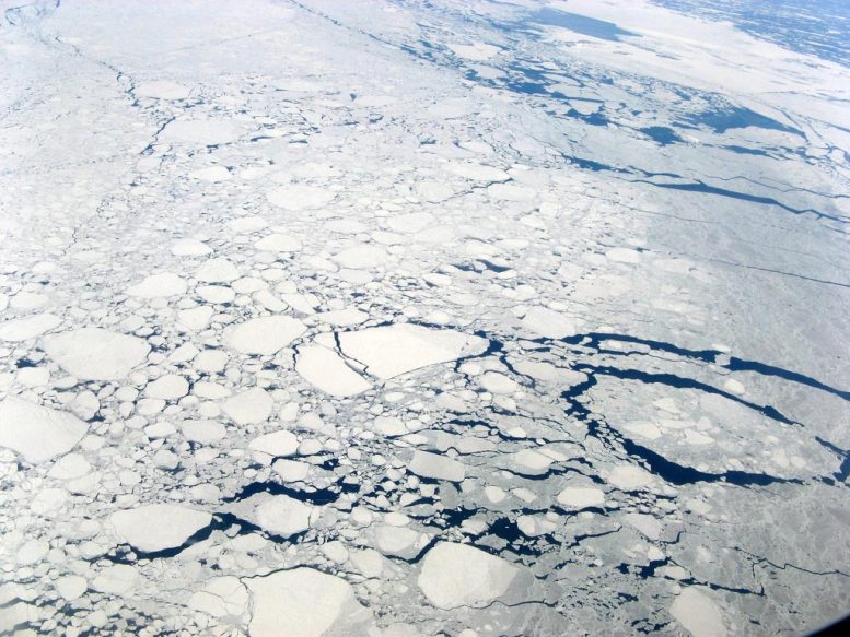 Trozos de hielo flotando en el océano.