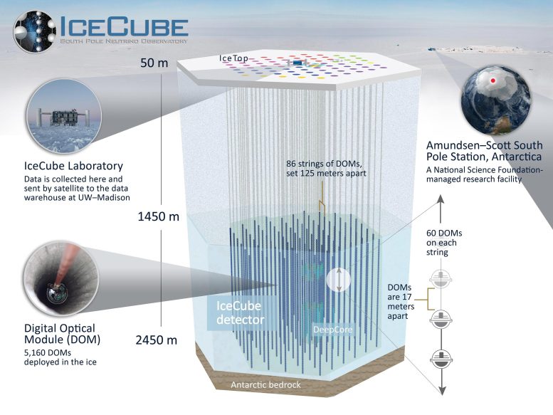 IceCube Detector Schematic