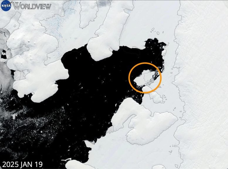 Iceberg Calved From George VI Ice Shelf Bellingshausen Sea