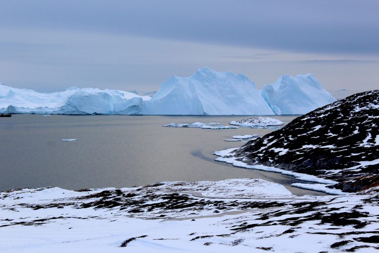 Icebergs Near Greenland