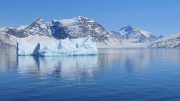 Icebergs off Southwest Greenland