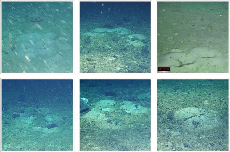 Son Dakika Haber Görseli