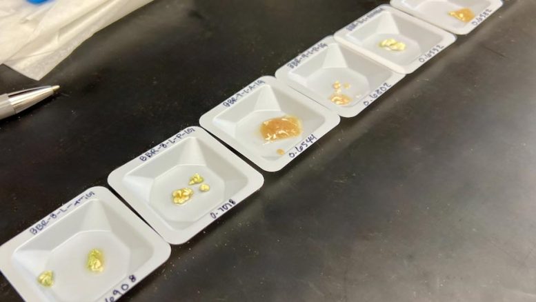 Ichthyocarbonate Samples From Blackbelly Rosefish