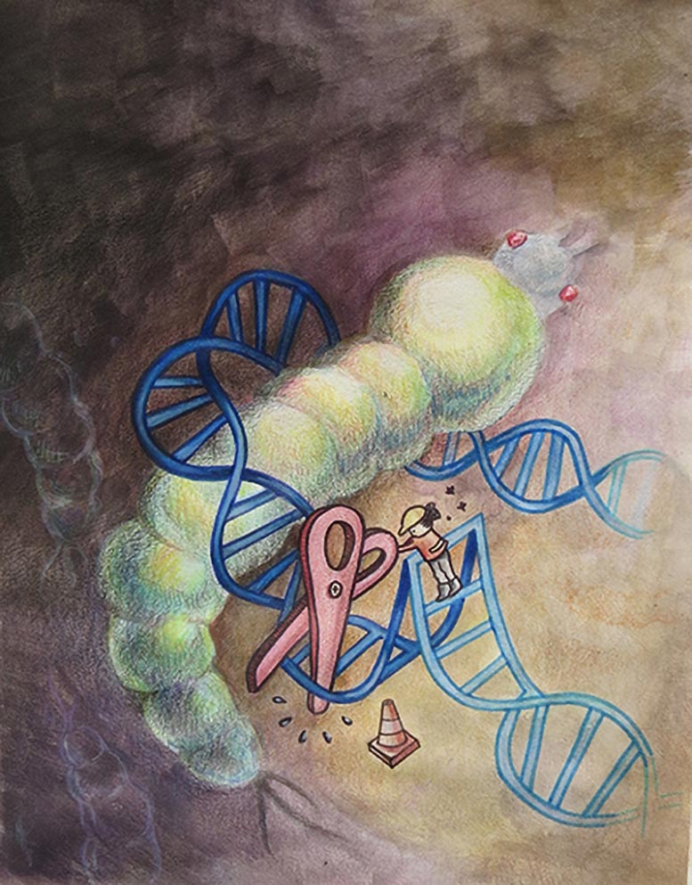 Ifegenia CRISPR genetic Editing Depiction