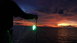 Illuminated Fishing Net