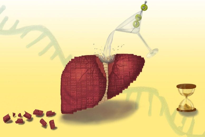 Illustrated Liver Made of Bricks With Cocktail Glass