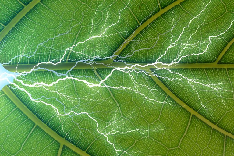 Like a Leaf New Artificial Photosynthesis Method to Capture CO2