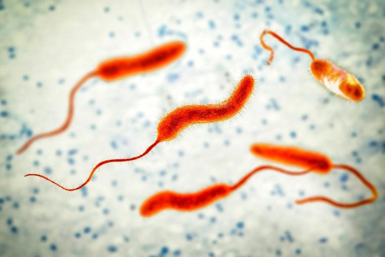 20-Year Study Reveals Cholera’s Surprising Weakness