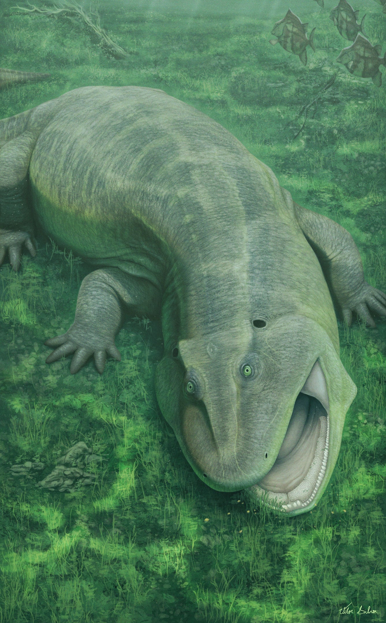 Scientists Baffled by Bizarre “Living Fossil” From 275 Million Years Ago