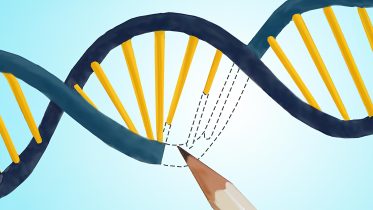 Cutting-Edge CRISPR: Princeton Researchers Develop a More Precise Gene-Editing Tool