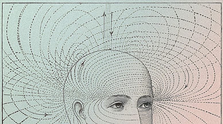 What if Your Memories Never Happened? Physicists Take a New Look at the Boltzmann Brain Paradox