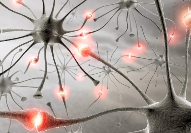 Illustration of Neurons