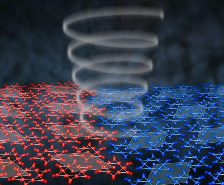 Illustration of Opposing Crystal Domain Orientations