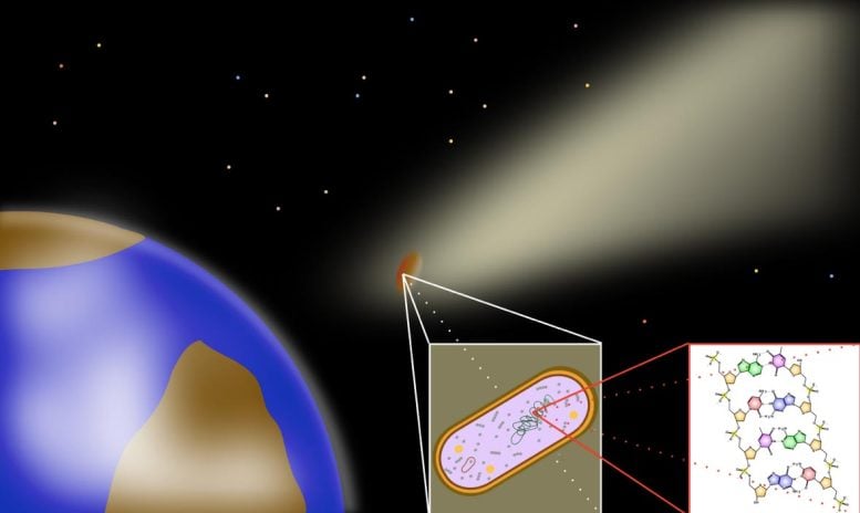 Illustration of Panspermia With Comet Carrying Bacteria