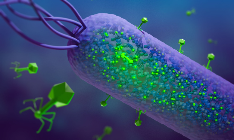 Illustration of T7 Kinase in Bacteria