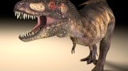 Illustration of Tyrannosaurus rex Dinosaur