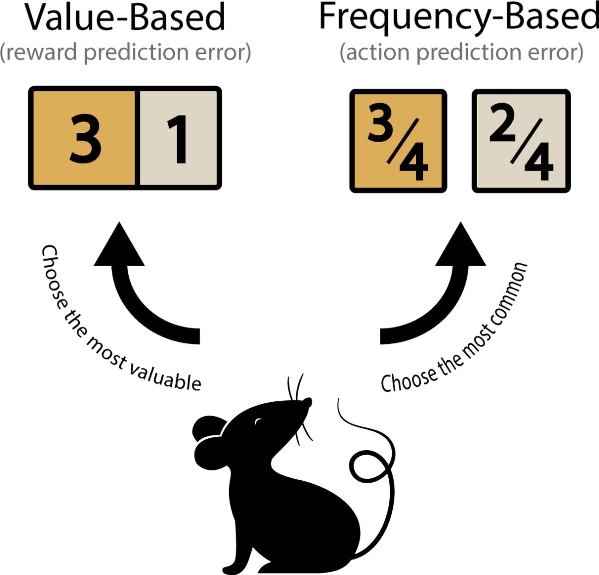 New Research Reveals the Brain Learns Differently Than We Thought