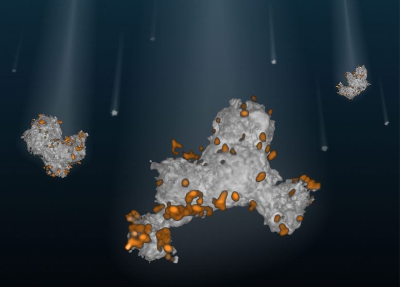 Illustration of Viscous Marine Snow Particles