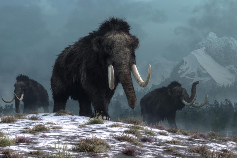 Vilnonių mamutų iliustracija