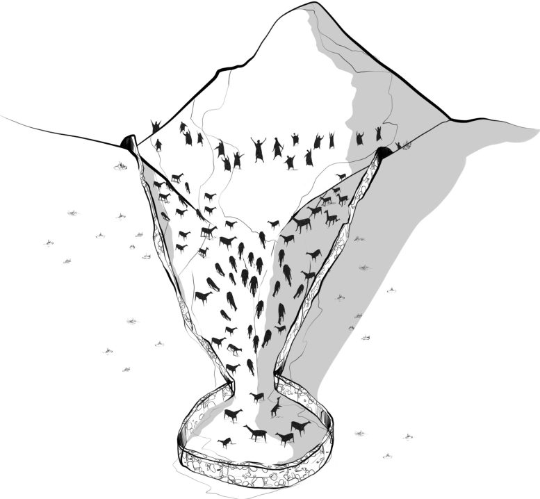 Illustration of an Ancient Andean Chacu Hunting Trap