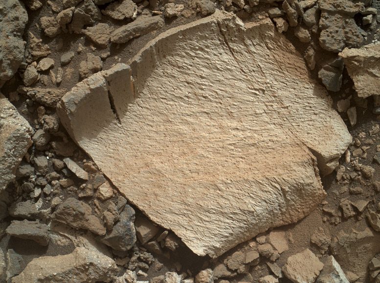 Image of Lamoose Rock on Mars
