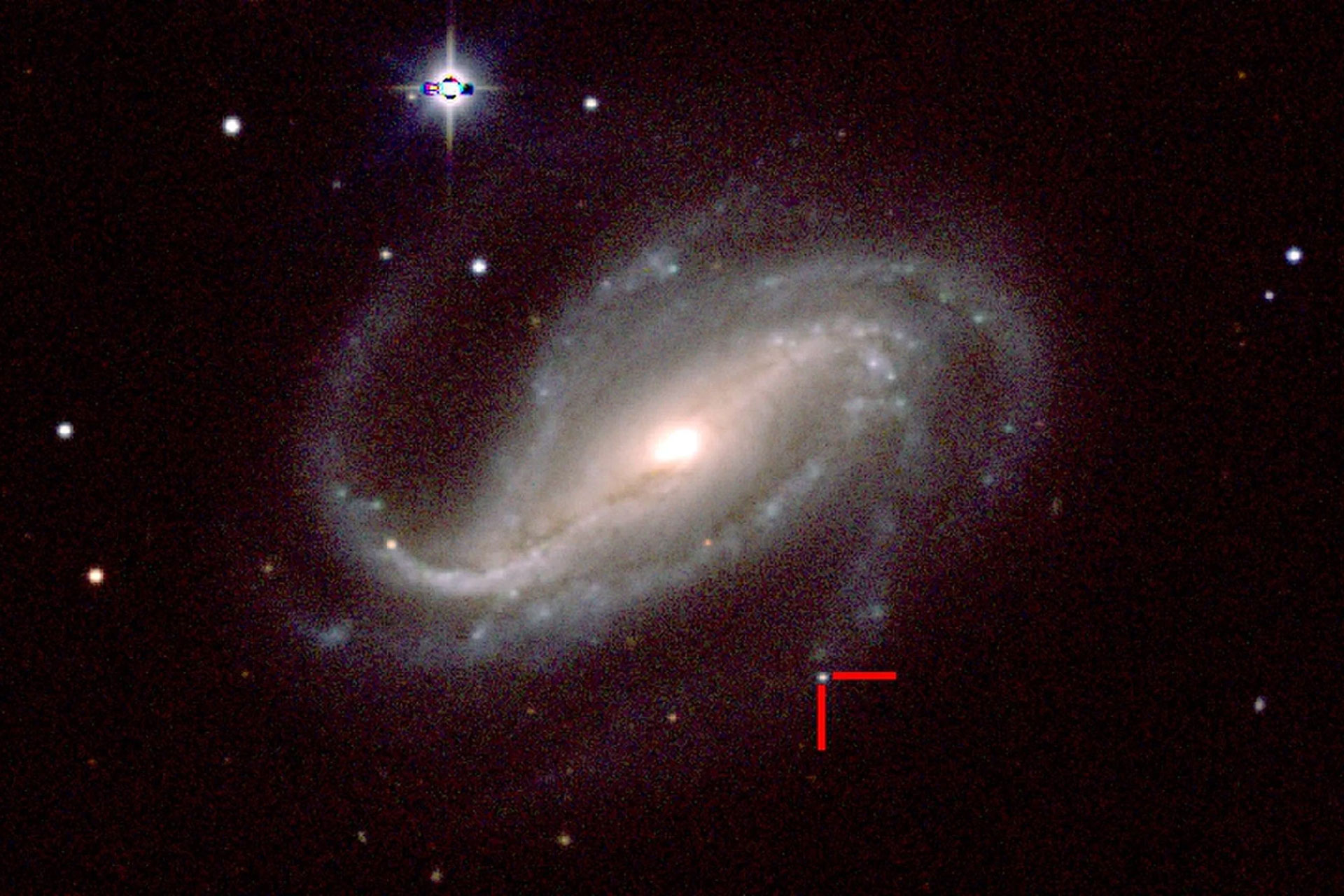 Amateur Astronomer Captures Rare Surge of Light at Supernova Birth