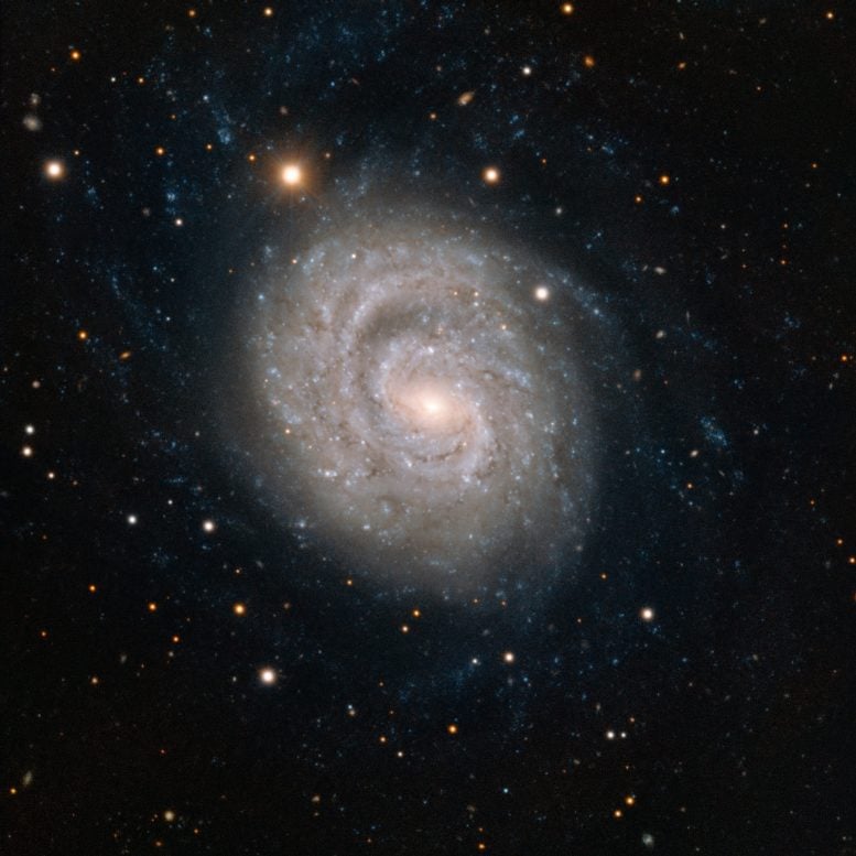 Image of Spiral Galaxy NGC 1637