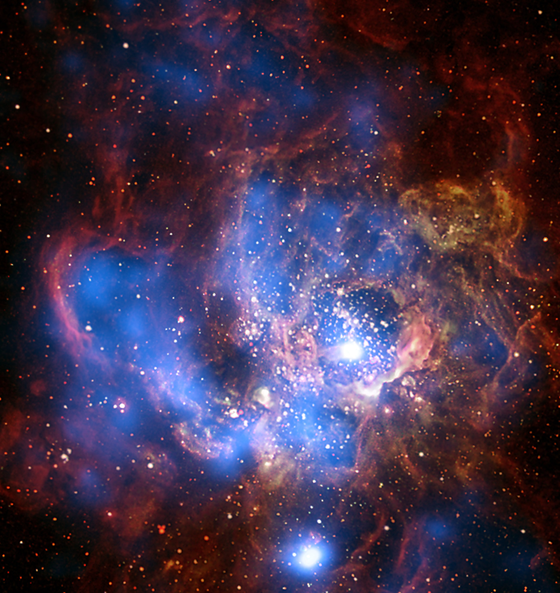 Deadly gamma-rays from an exploding star might have caused 