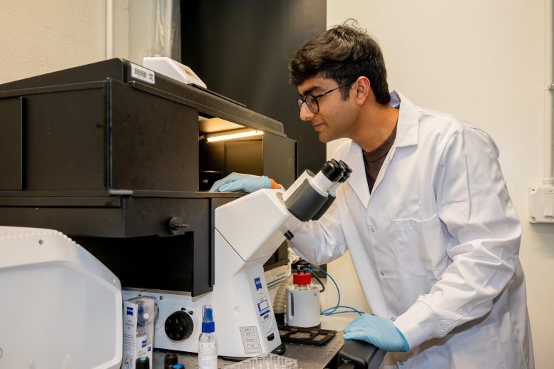 Imaging Chromatin