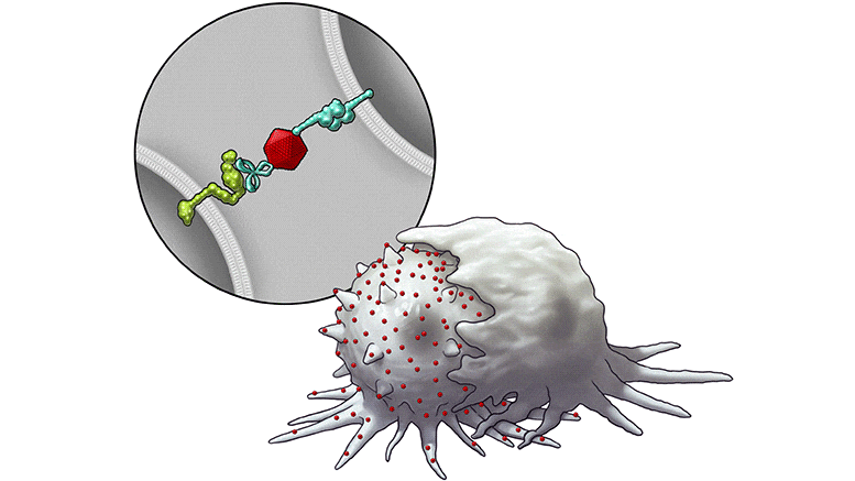 Nanotechnology Platform Enables Immune Conversion of Cancer Cells, Sensitizing Them to Immunotherapy