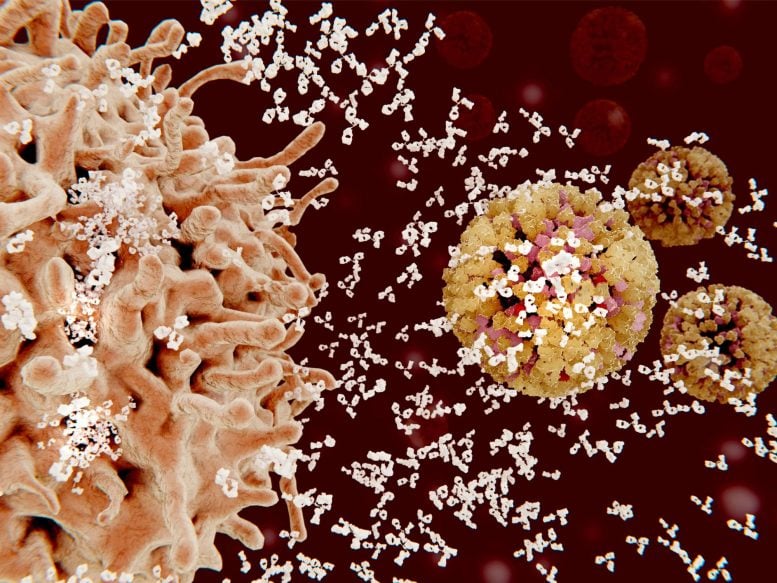 Immune Plasma Cell Concept