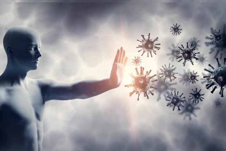 Geschlechtsunterschiede im Alterungsprozess des Immunsystems: Was Wissenschaftler herausgefunden haben