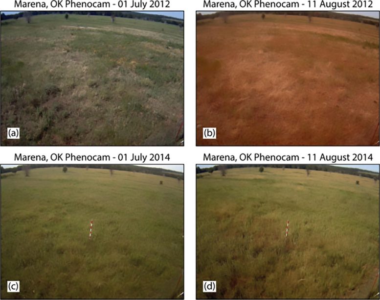 Impact of a Flash Drought on a Grassland in Oklahoma