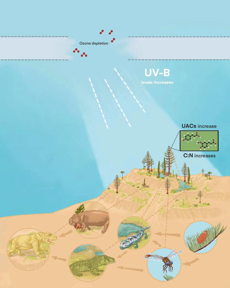 Impactos del agotamiento de la capa de ozono y los altos niveles de UV-B en el ecosistema de la Tierra