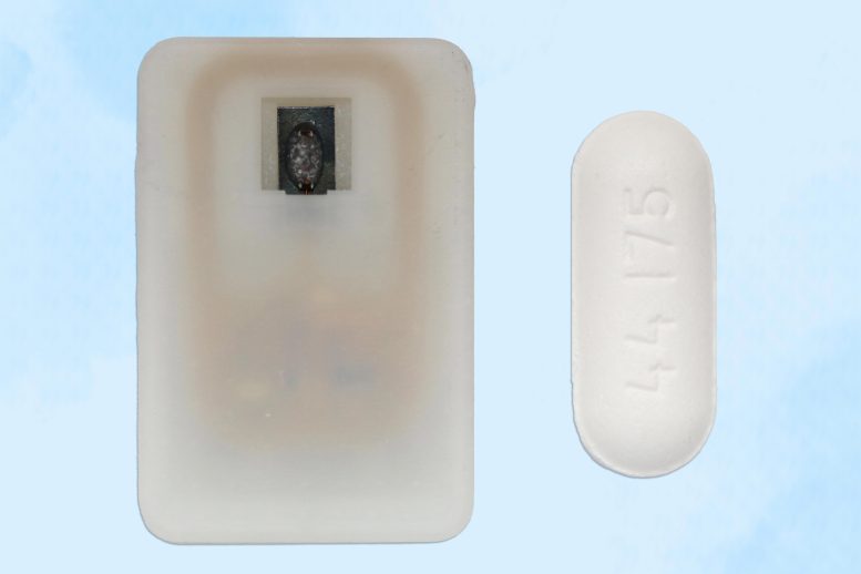 Implantable Emergency Drug Device Shown Next to Pill