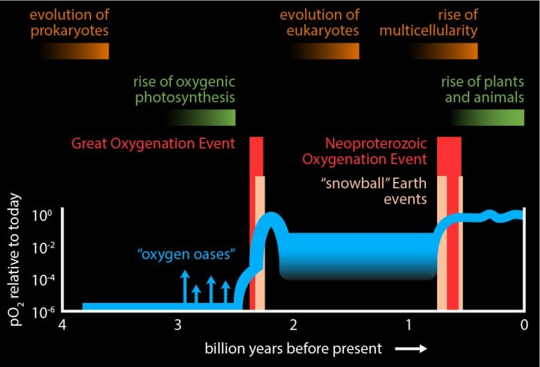 Important Events in the History of the Earth