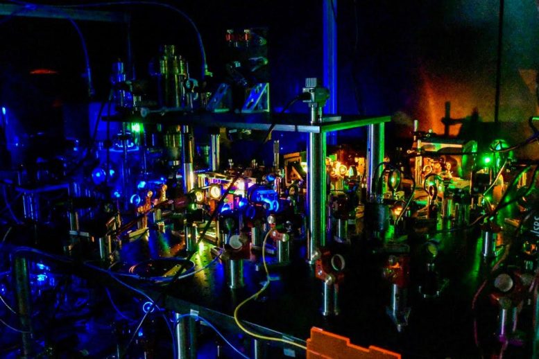 In the Will Lab Experimental Setup
