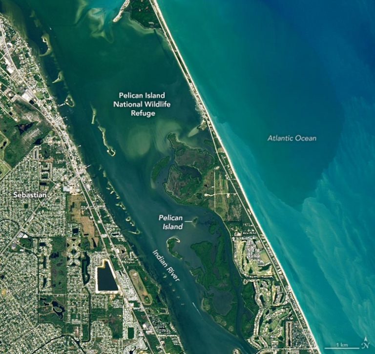 Pelican Island America’s First National Wildlife Refuge
