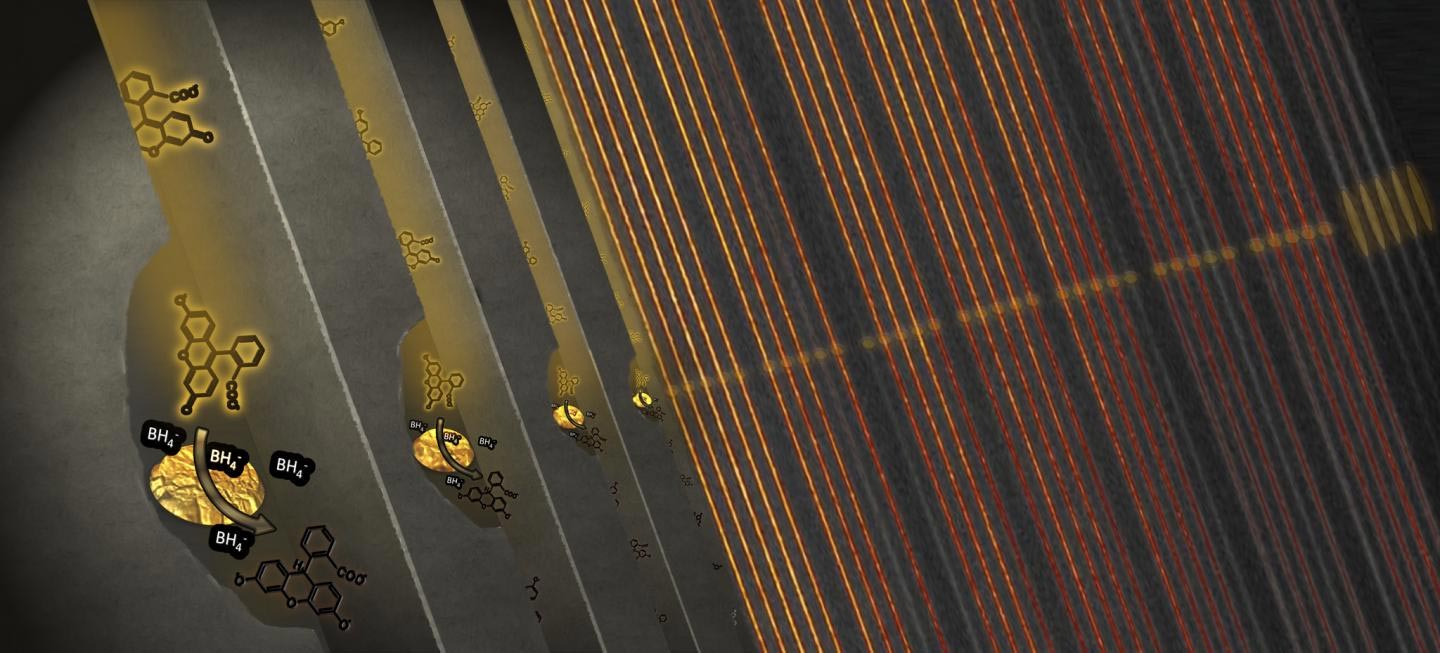 Individual Catalytic Nanoparticles in Separate Nanotunnels