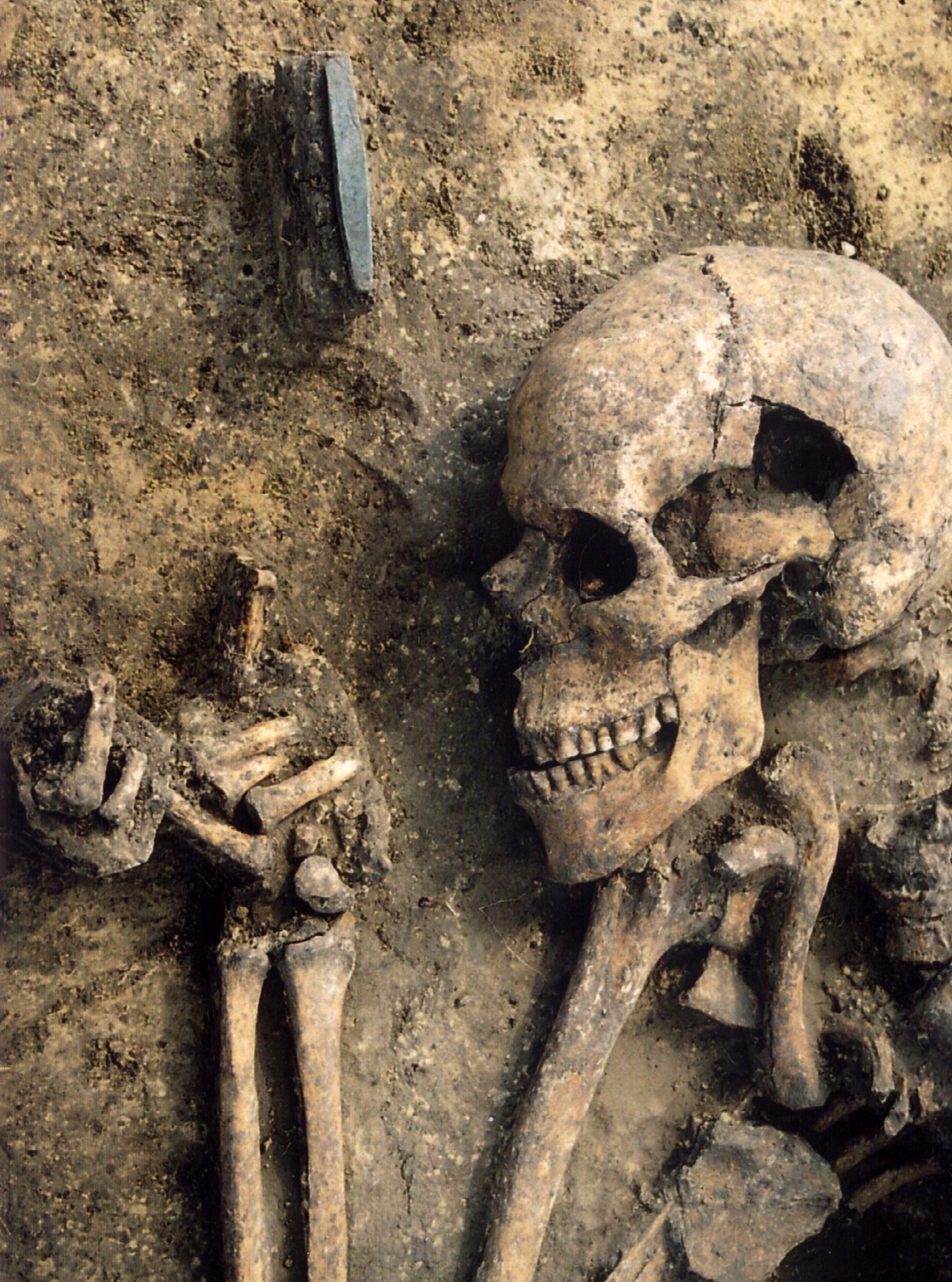 A DNA dive into the genetic and cultural past of Europe