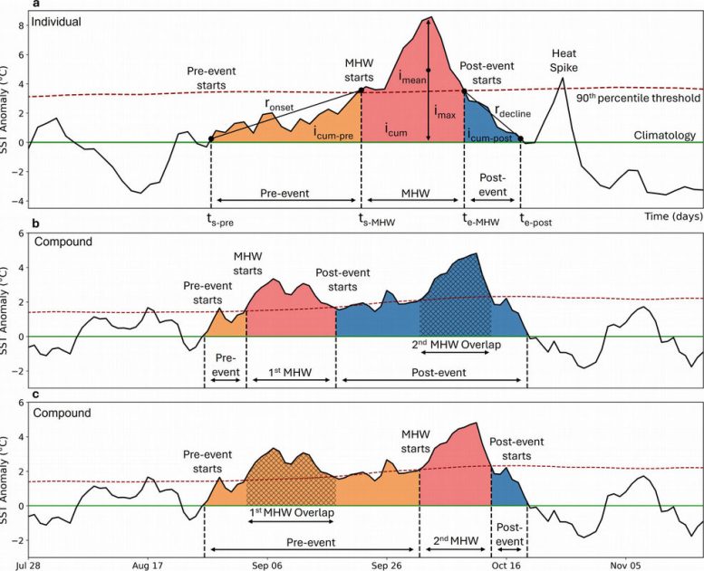 Individual and Compound Marine Heatwaves